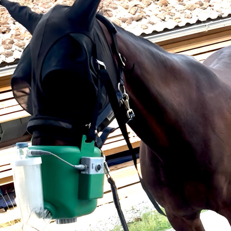 Flexineb E3 – Pferde Inhalator Verleih 1 -4 Wochen - Verfügbarkeit bitte vorher anfragen!